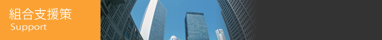 組合支援策